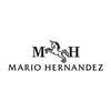 LOGO MARIO HERNANDEZ
